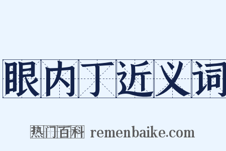 眼内丁近义词是什么意思的图片